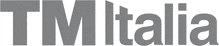 Logo TM Italia, winner VirtualExpo i-NOVO Awards